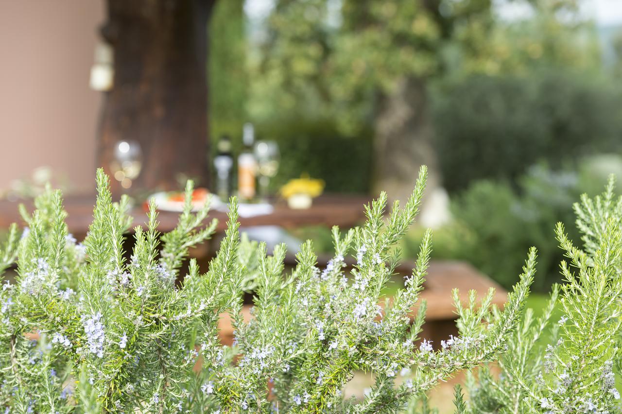 Agriturismo Poggio Corbello La Pesta Exteriér fotografie