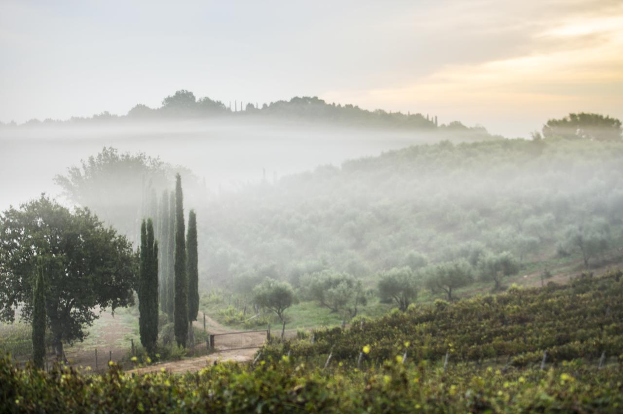 Agriturismo Poggio Corbello La Pesta Exteriér fotografie