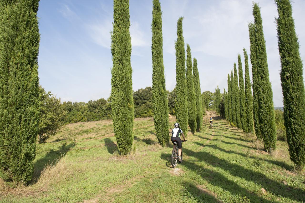Agriturismo Poggio Corbello La Pesta Exteriér fotografie