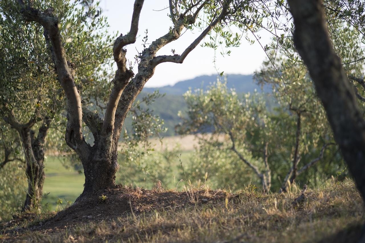 Agriturismo Poggio Corbello La Pesta Exteriér fotografie