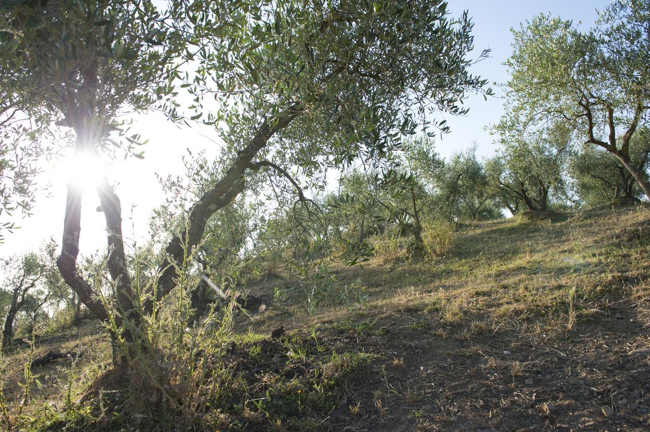 Agriturismo Poggio Corbello La Pesta Exteriér fotografie