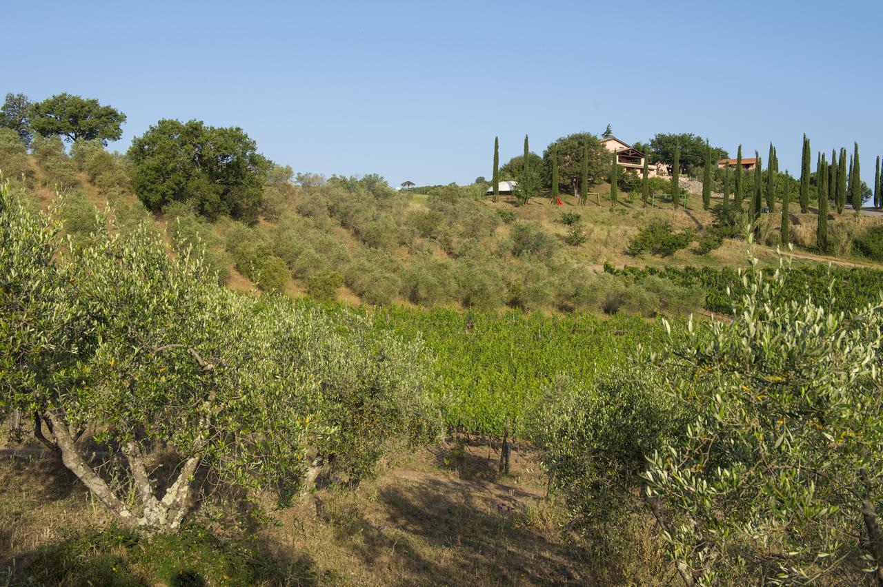 Agriturismo Poggio Corbello La Pesta Exteriér fotografie