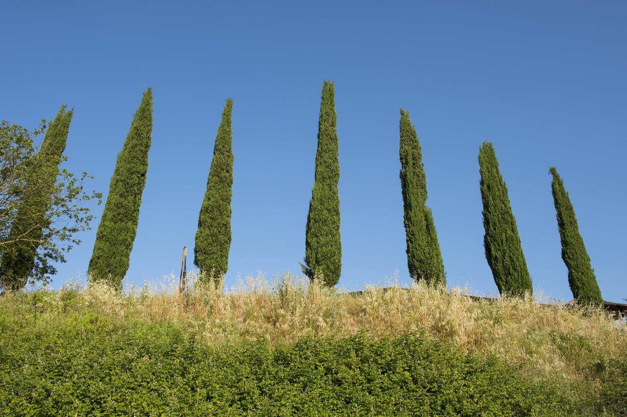 Agriturismo Poggio Corbello La Pesta Exteriér fotografie